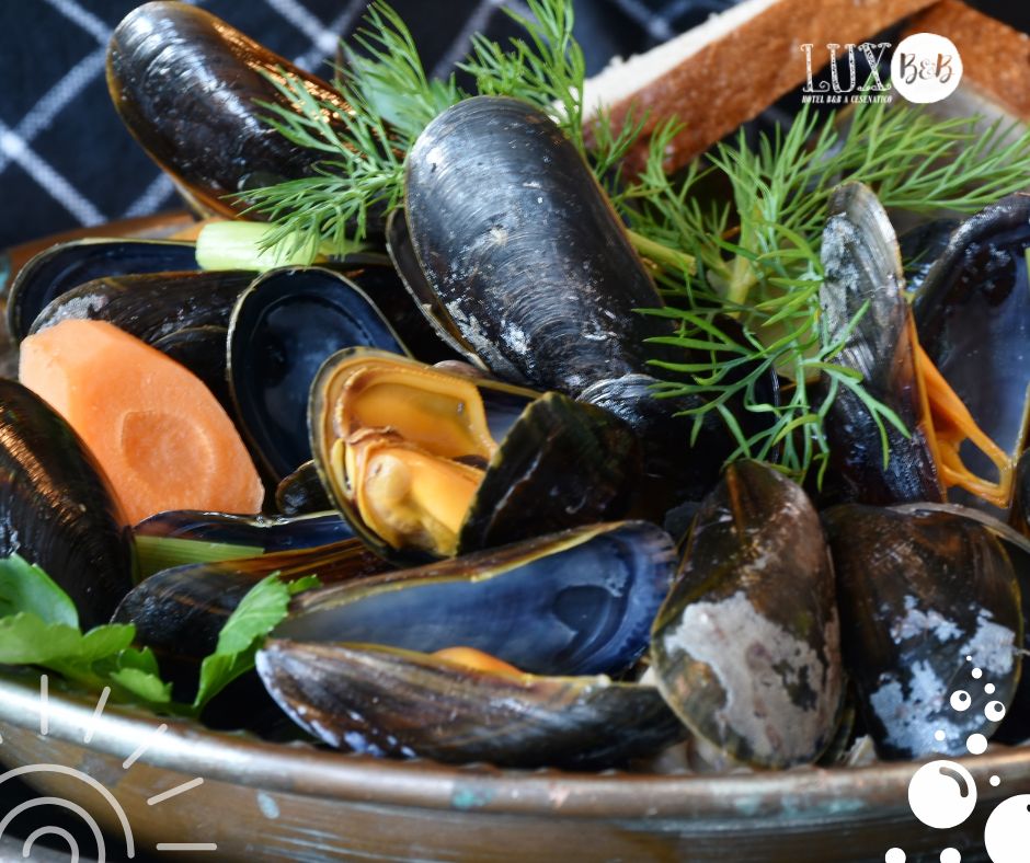 Read more about the article 3-star hotel in Cesenatico Center – Offer Azzurro come il Pesce from €42.50